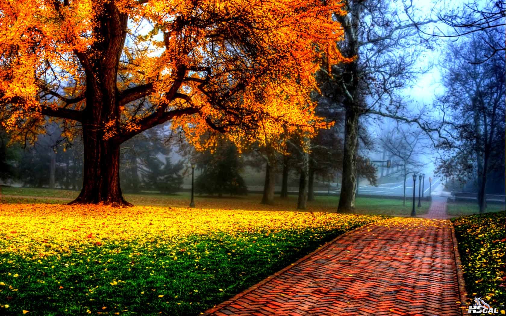 autumn [DesktopNexus.com](1).jpg