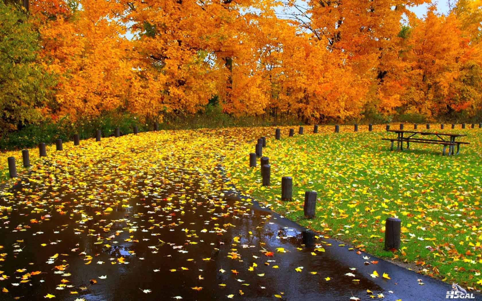 autumn [DesktopNexus.com](2).jpg