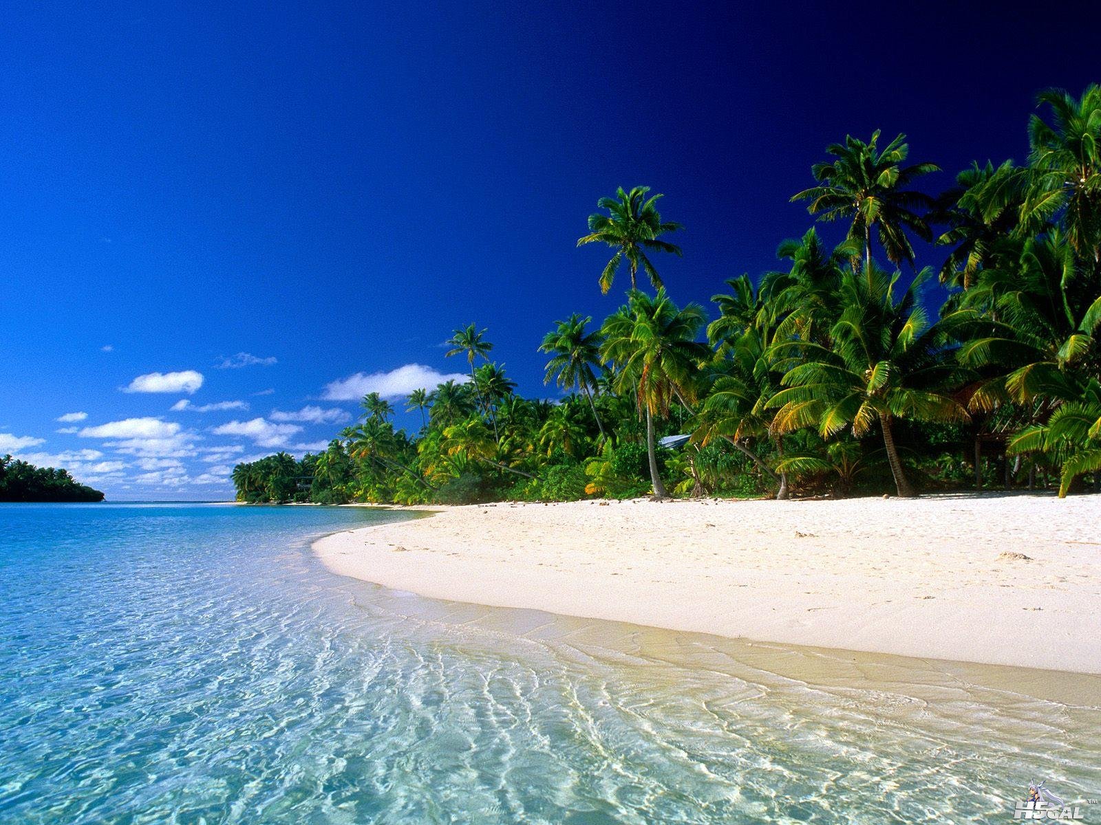 beach [DesktopNexus.com].jpg