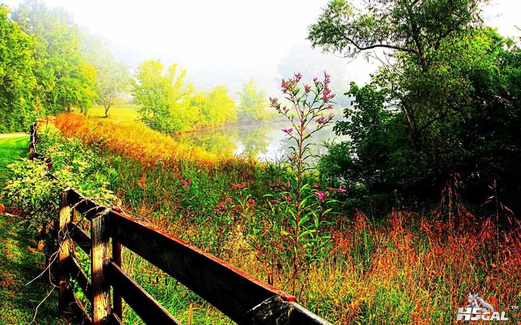 grass [DesktopNexus.com](1).jpg
