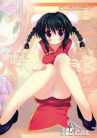 moe 34496 chinadress kiba_satoshi mei_mei nagasarete_airantou pantsu.jpg