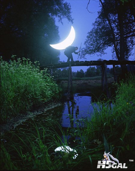 moonandstar05.jpg