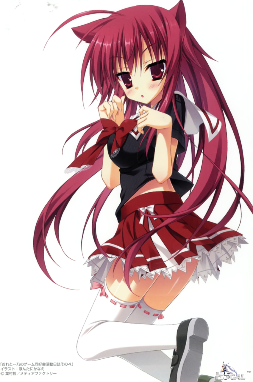 sample_0875aaf6c774b124ad69efedc11c4430.png