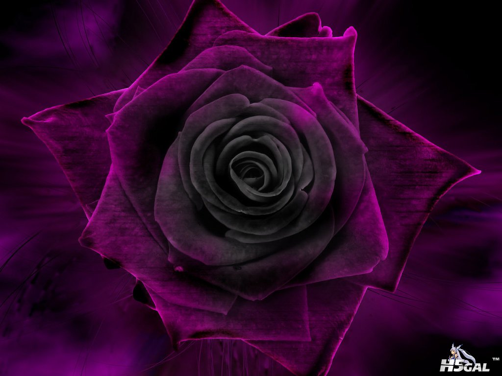 Under_The_Rose_by_Dark_Cells1 [DesktopNexus.com].jpg