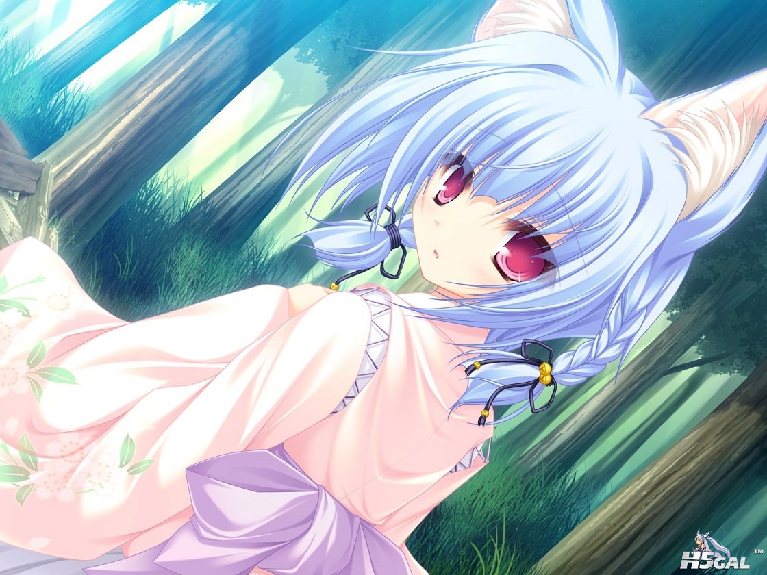 Konachan.com - 86552 animal_ears catgirl game_cg japanese_clothes kiryuu_hina ne.jpg