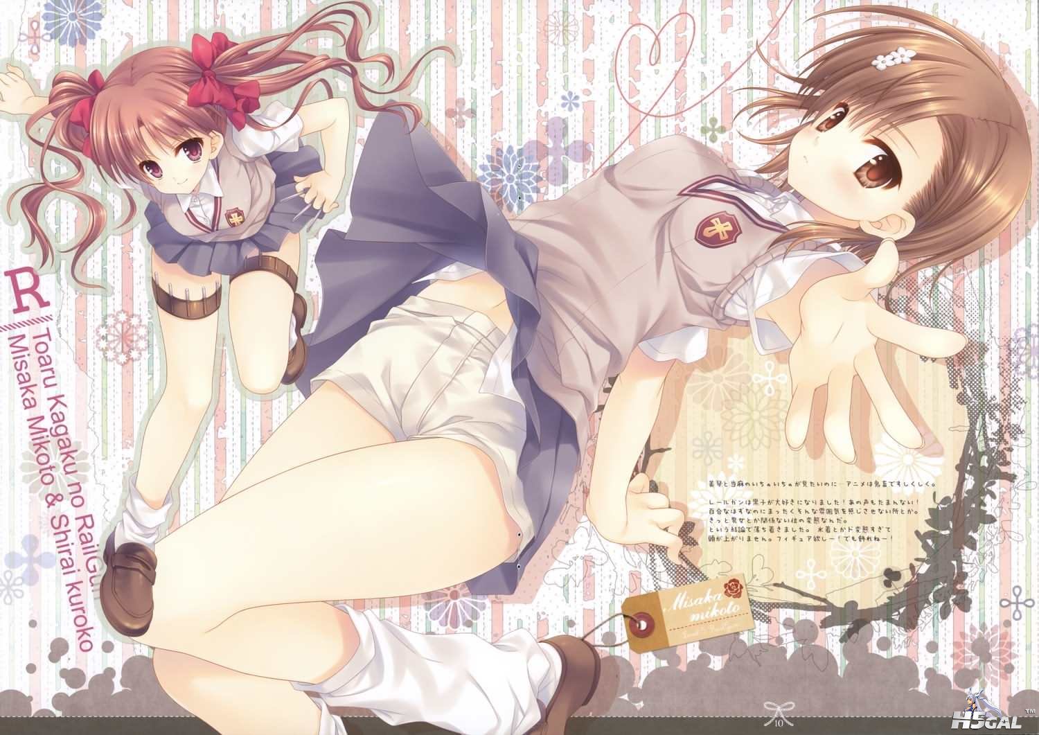 moe 169523 sample.jpg