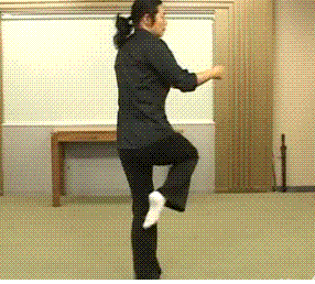 b0b5c95d58d2d1b7a2b9fdb9ee1bee78.GIF
