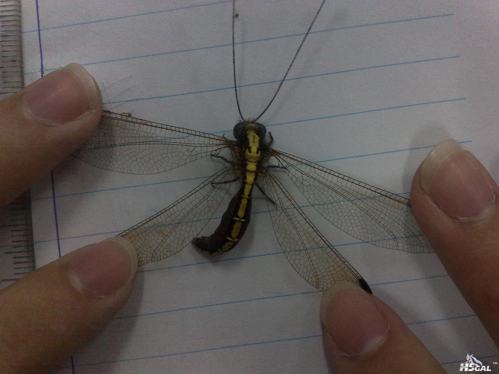 201006271405.jpg