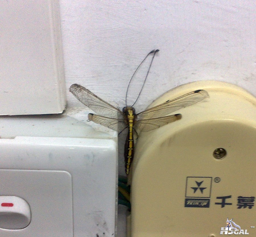 201006271408 拷贝.jpg