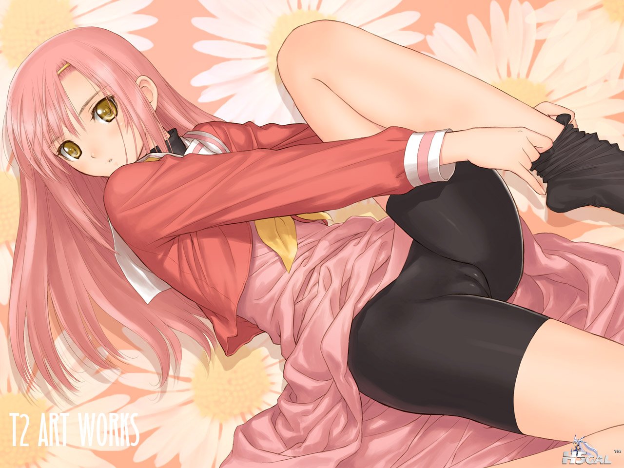 hina01_wp1280960.jpg