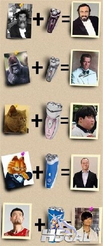 15.jpg