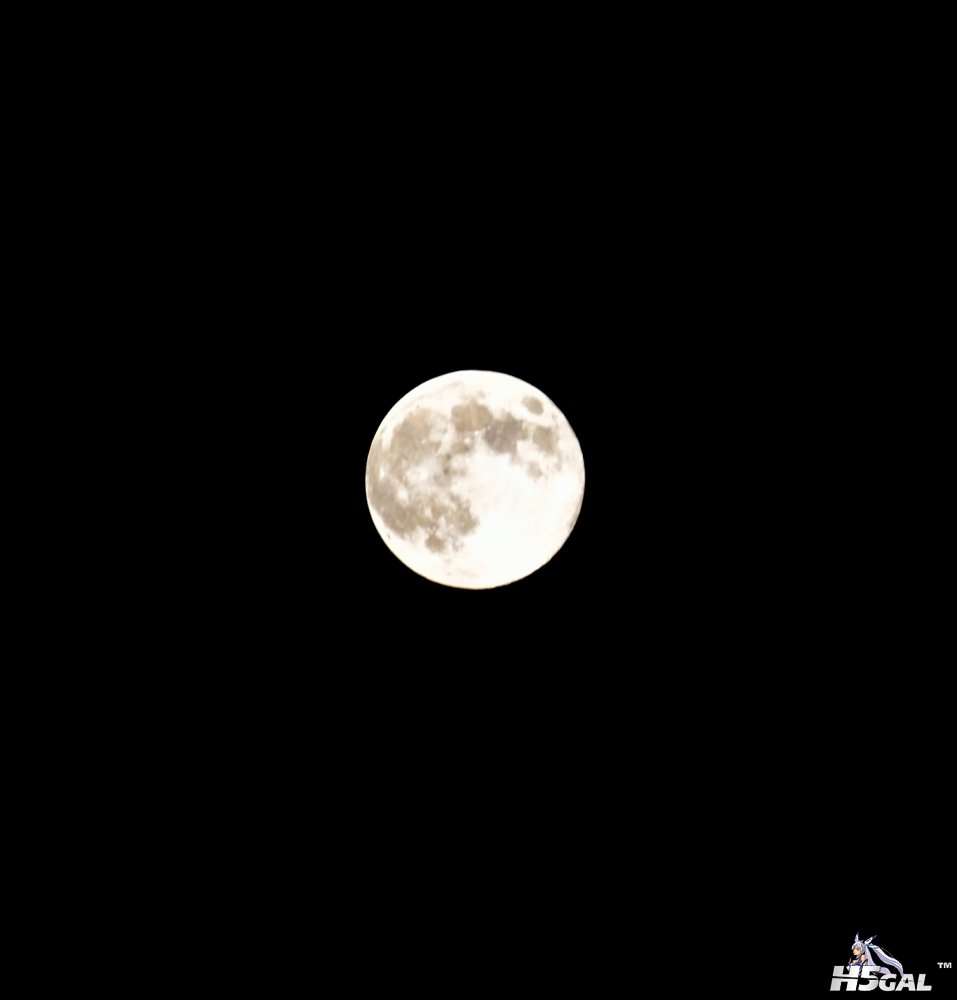 _DSC0009_01.JPG