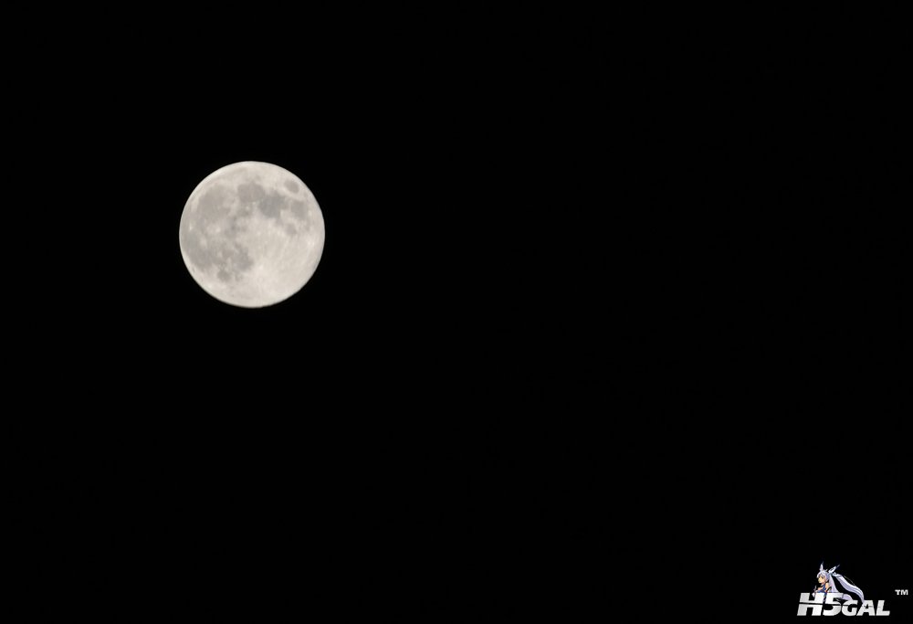 _DSC0006_01.JPG