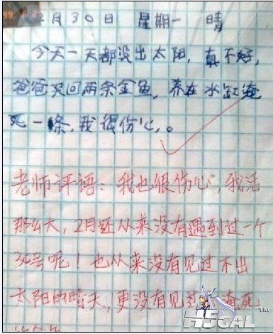 未命1名.jpg