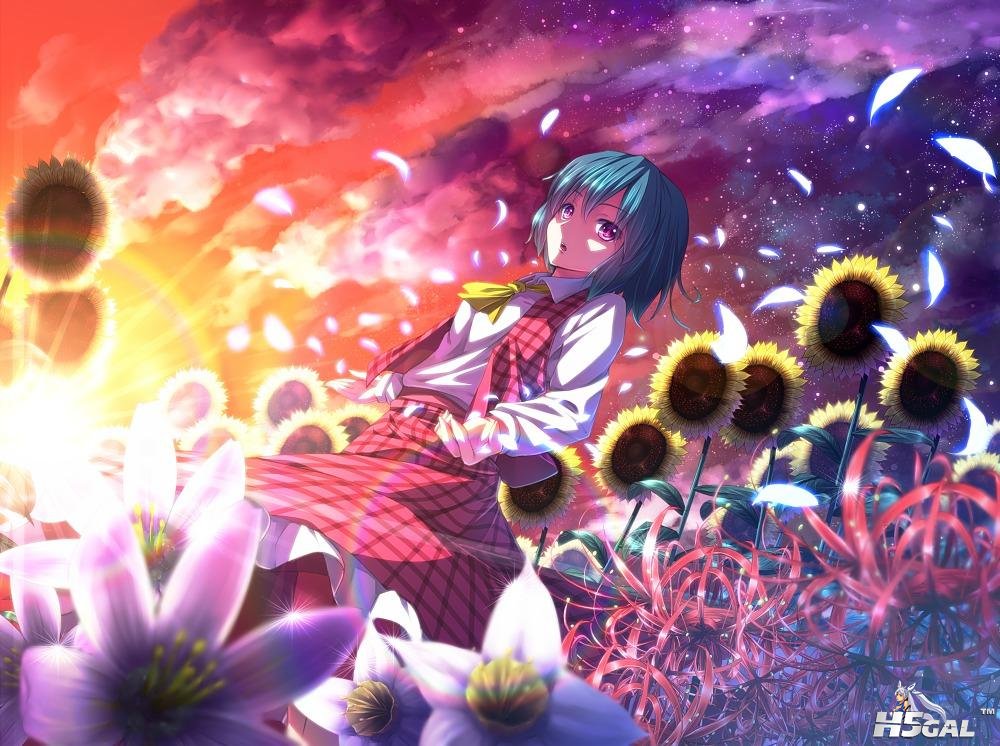 Kazami-Yuuka [DesktopNexus.com].jpg
