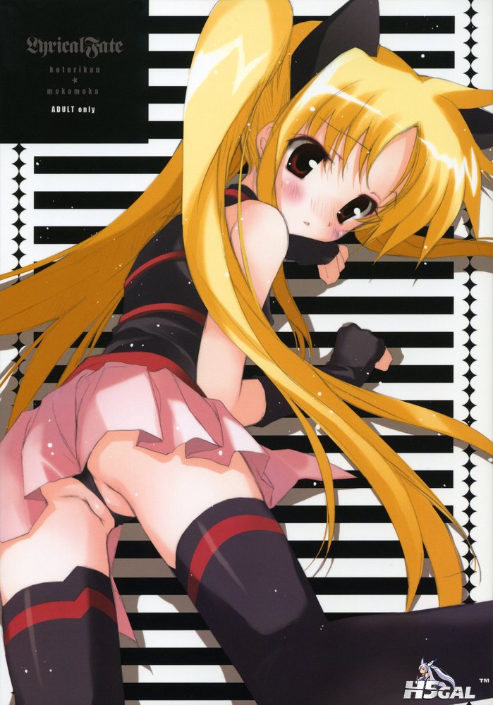 moe 130304 sample.jpg