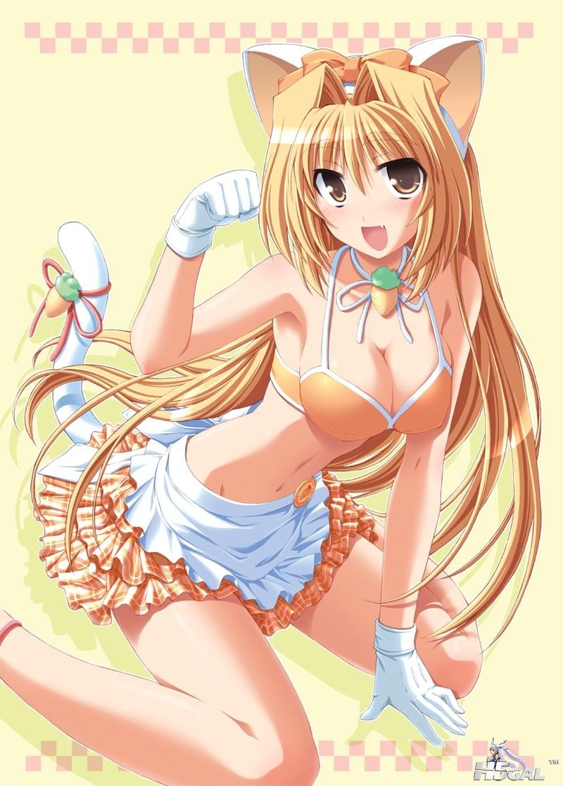 moe 9166 animal_ears bikini_top cleavage hinata_mutsuki kinoshita_rumi nekomimi .jpg
