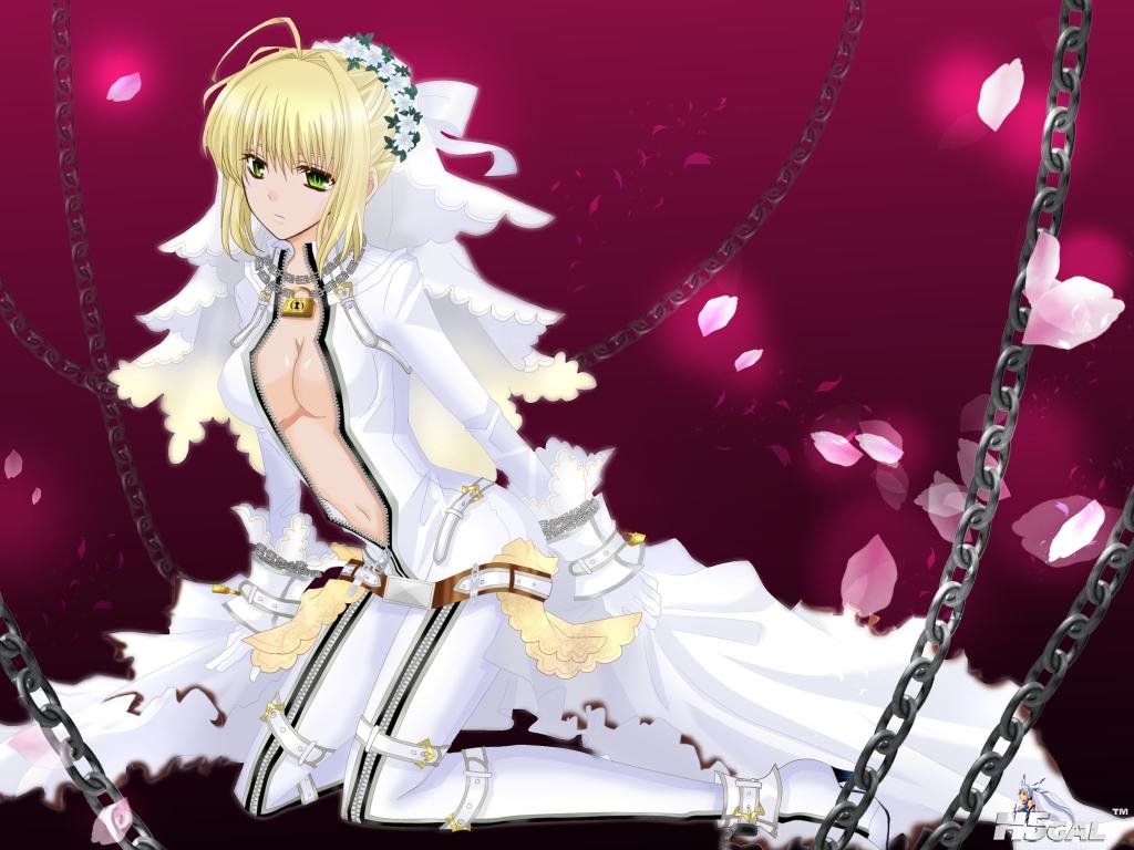 saber-bride [DesktopNexus.com].jpg