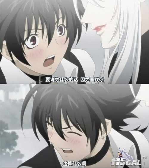 BL.jpg