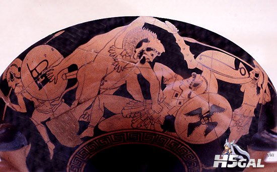 herc_amazon3.jpg