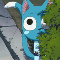 5.gif