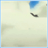 403_344534_63be5f3ed1c30be.gif