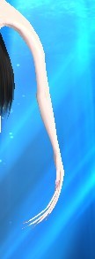 手.jpg