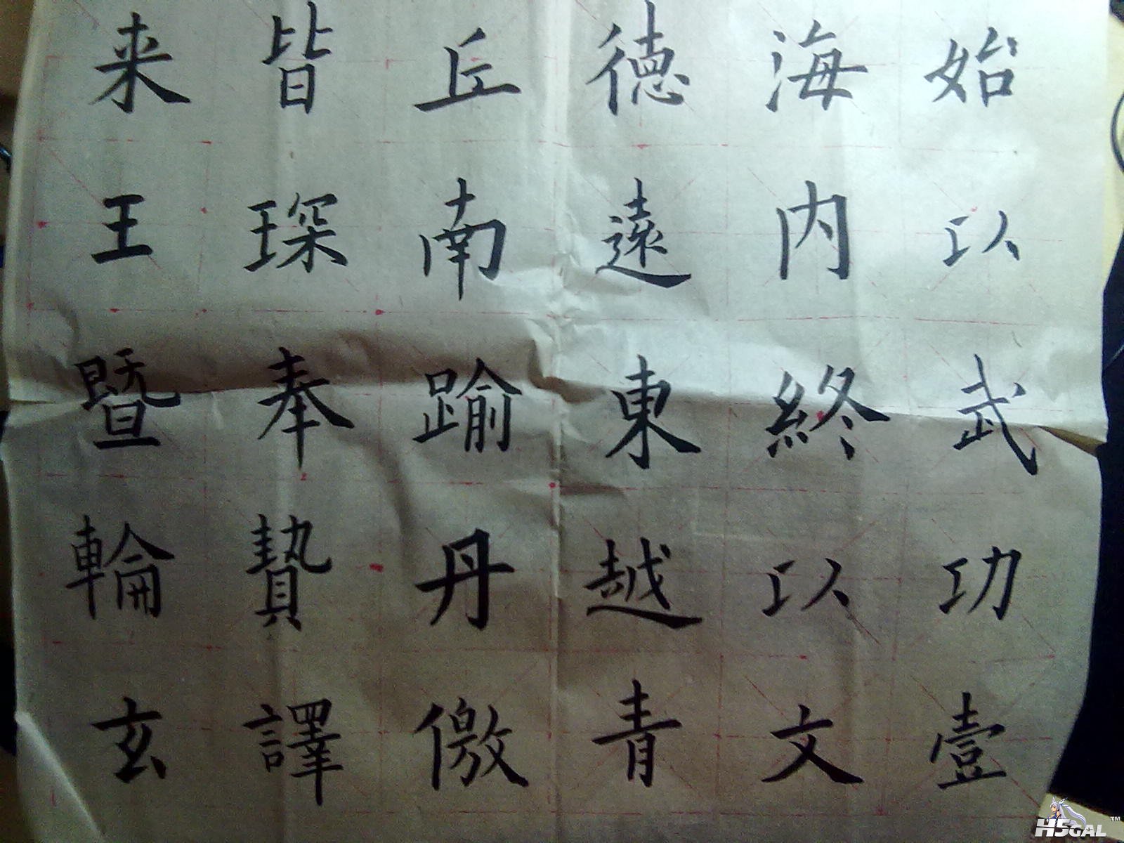 20111109955.jpg