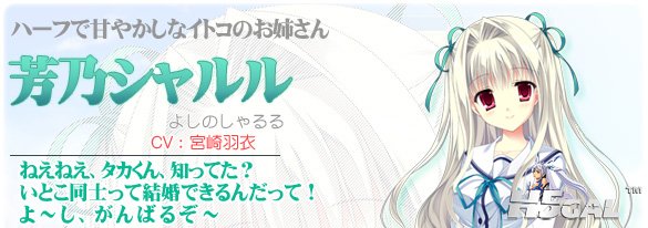 shr_01-shr.jpg