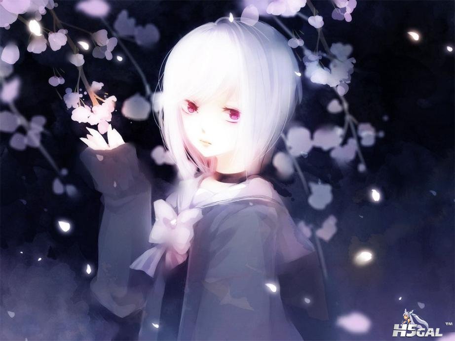 20110901174042109.jpg