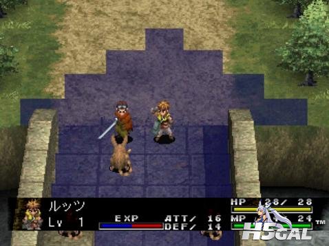 y4.jpg
