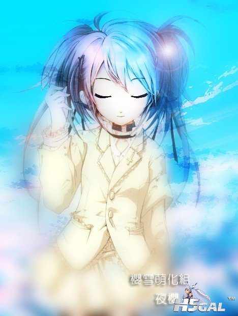 夜樱.jpg