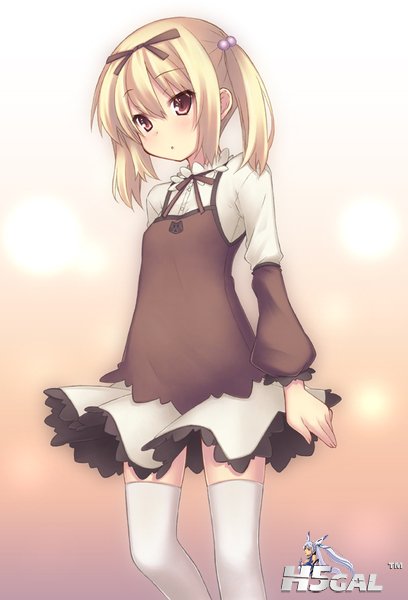 8547194_m.jpg