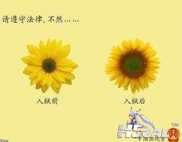 5fef4a7670e36f645143c15c.jpg