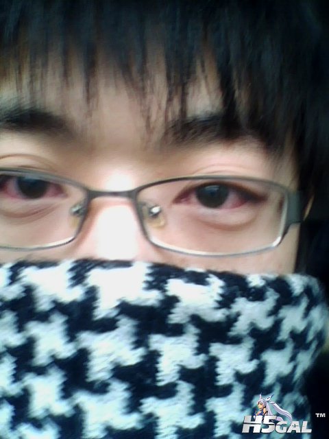 IMG0231A.jpg