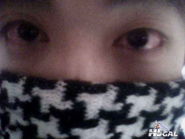 IMG0226A.jpg