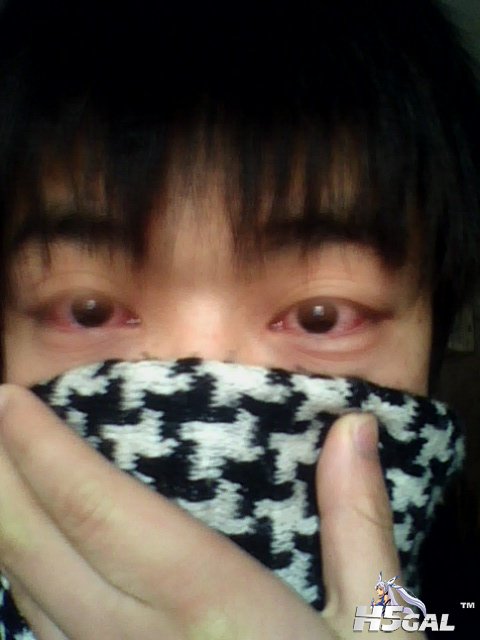 IMG0227A.jpg