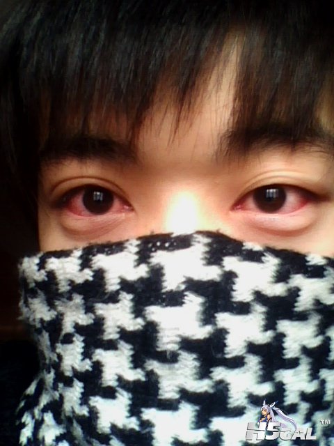IMG0230A.jpg