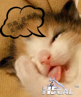 卖萌.jpg