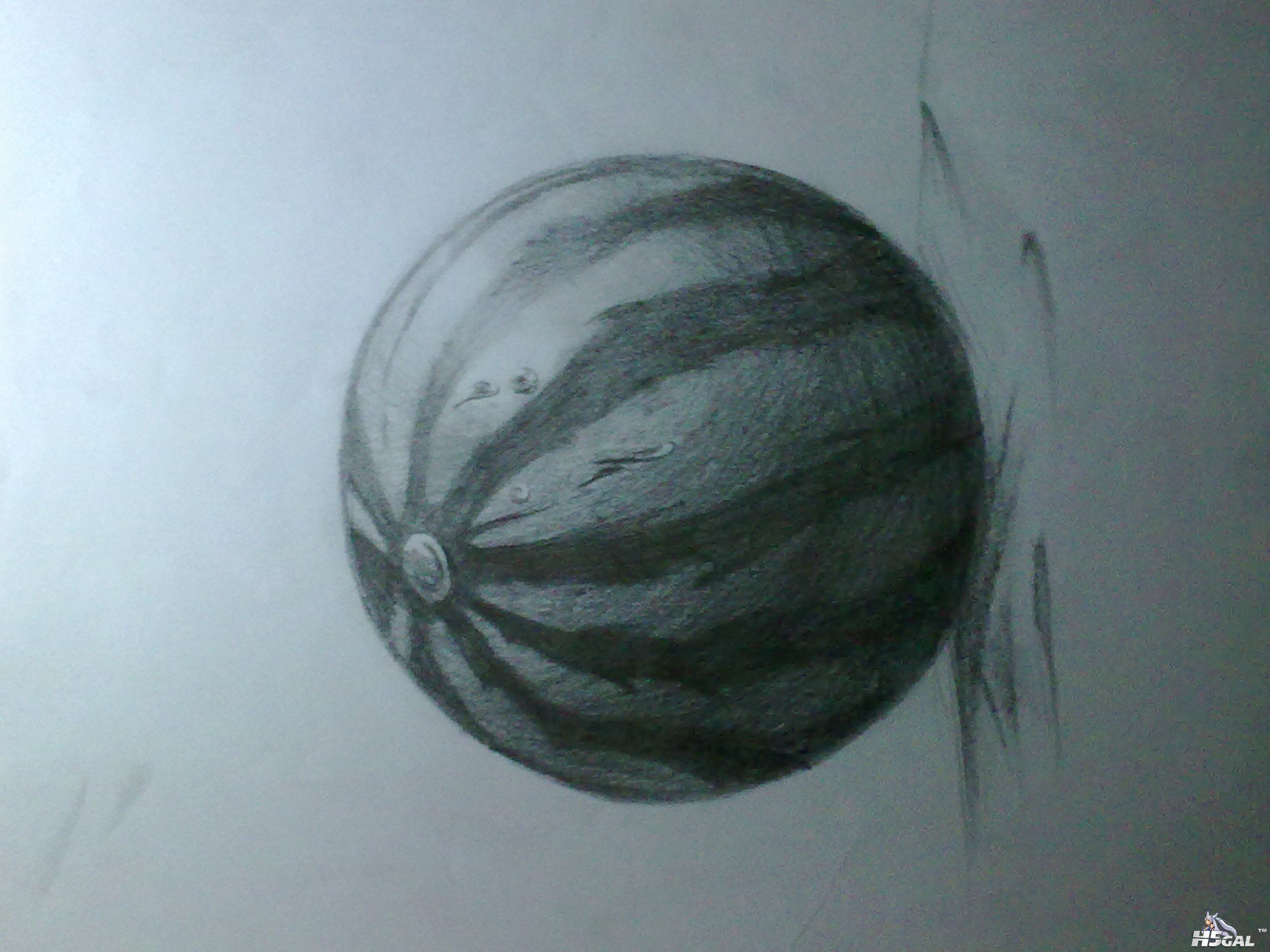 20120101471.jpg