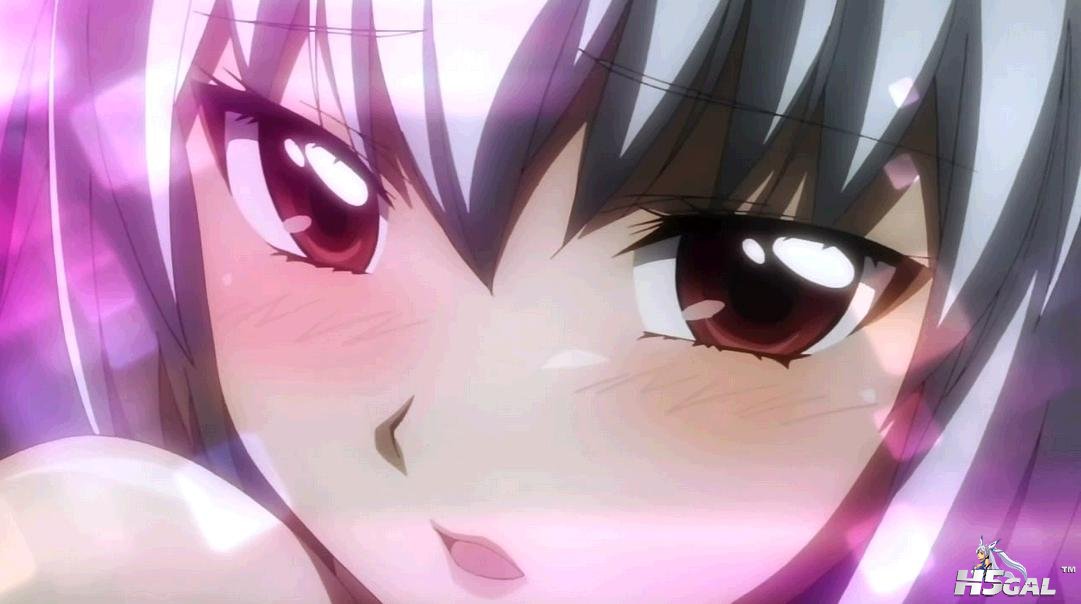 bento1-3.jpg