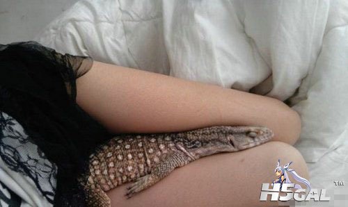 b201270716051470001.jpg