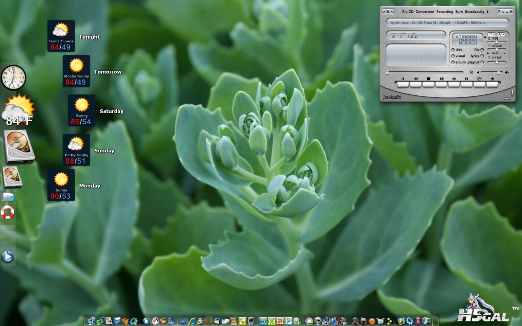 XP_Pro_-_Vista_EI-PC_Succulent_Desktop_1024x640.jpg