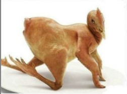 12011118160166f2e4aa1bb6d4.png