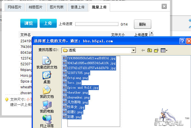 批量上传.png