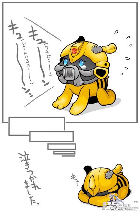 28.jpg