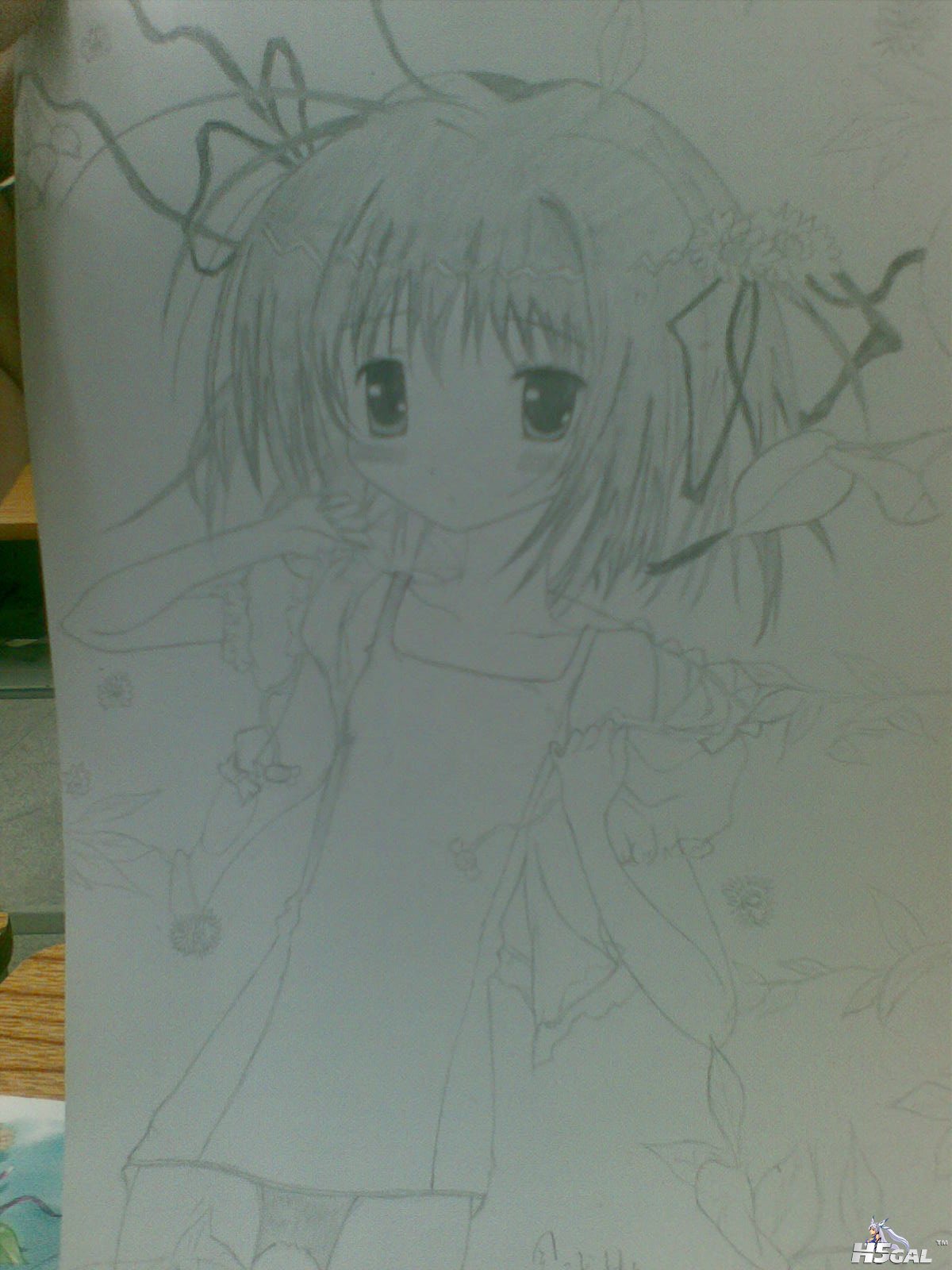 20111129.jpg