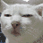 63_avatar_small.gif