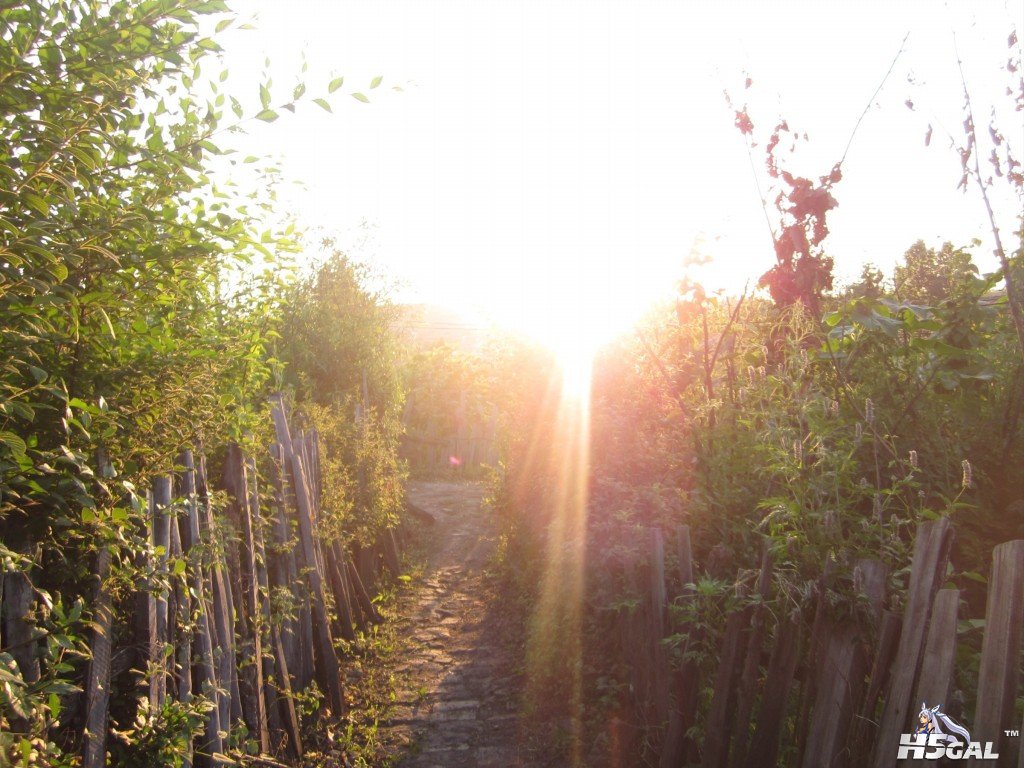 乡村夕阳~1.jpg