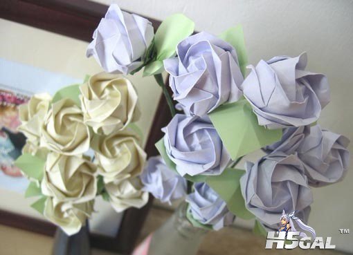 151036e88dpshm78fzp8hf.jpg